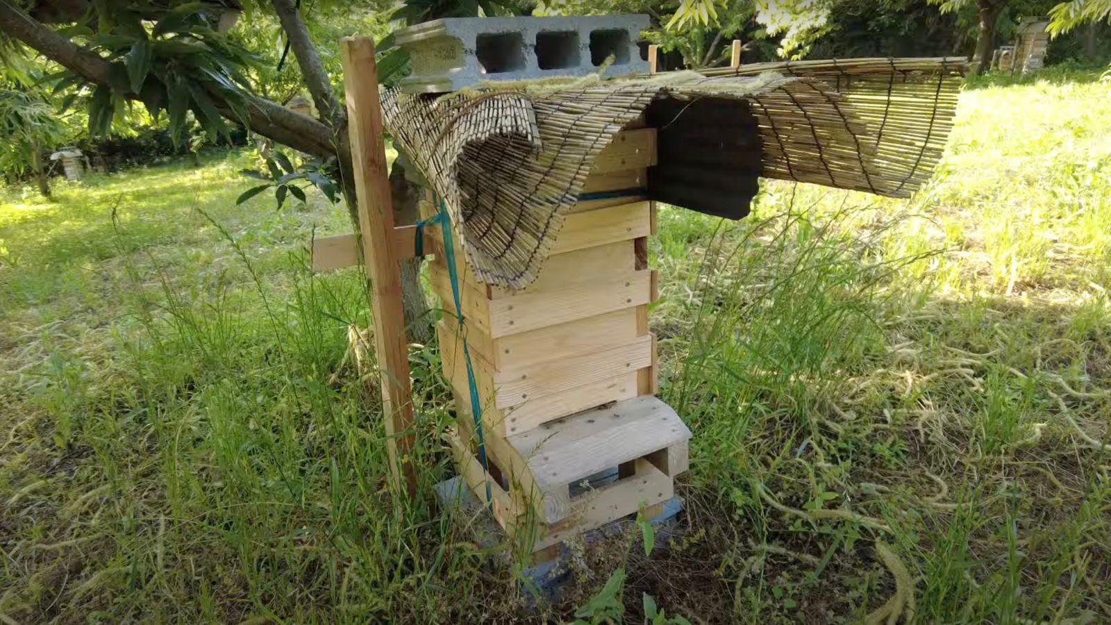 Japanese honeybee beekeeping