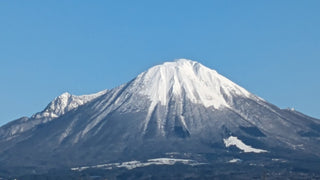 日本みつばちとは？西洋みつばちとの違いと大山はちみつの魅力