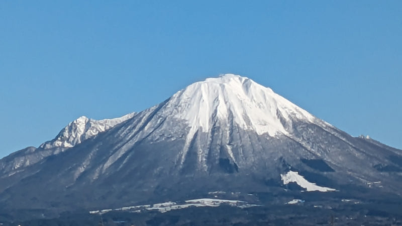 日本みつばちとは？西洋みつばちとの違いと大山はちみつの魅力